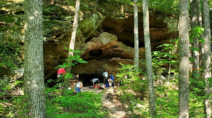 Picture shows a forest with a rock shelter